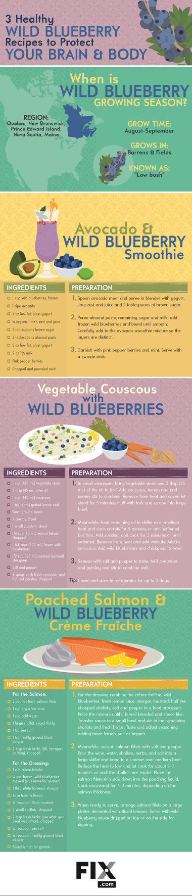 wild blueberries health benefits